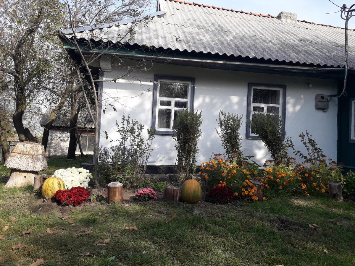 Медова Садиба Subbotiv Εξωτερικό φωτογραφία